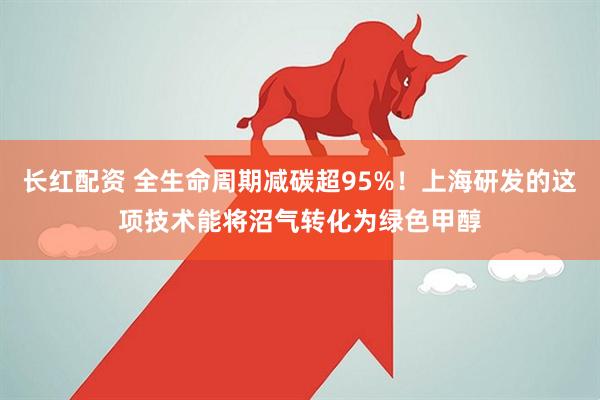 长红配资 全生命周期减碳超95%!上海研发的这项技术能将沼气转化为绿色甲醇